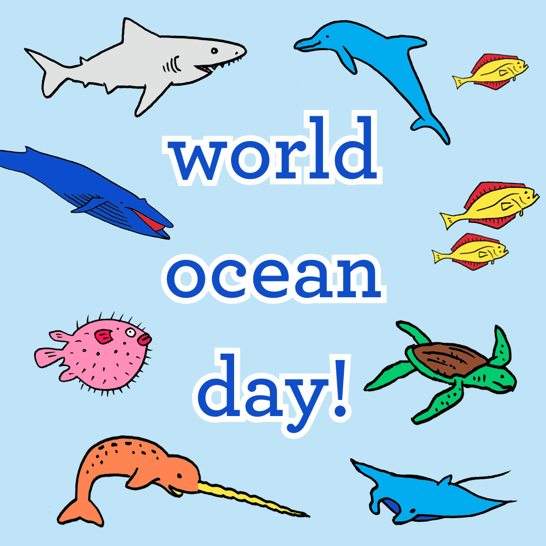 Dive into World Ocean Day and discover fascinating ocean facts with us!