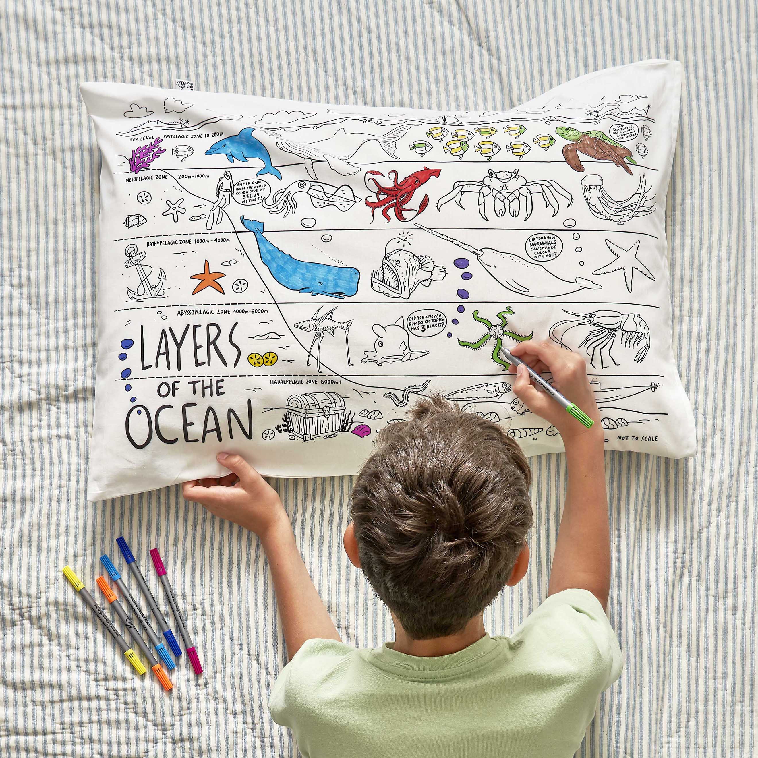 Colouring under the sea Unique toys for niece and nephew