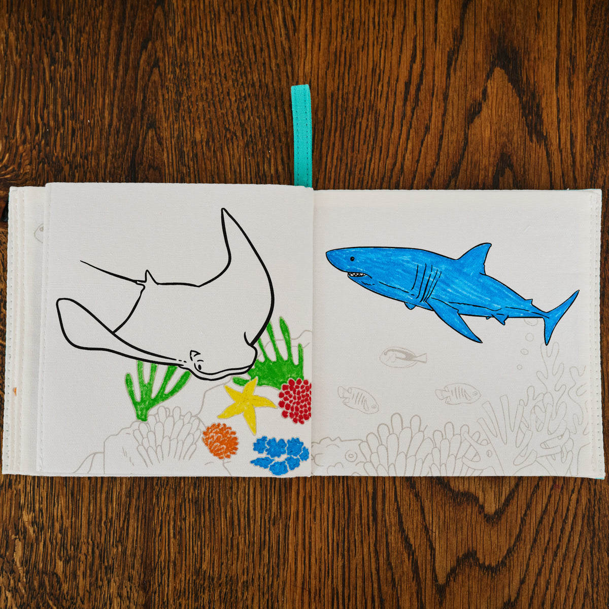 Soft cotton under the sea colouring book for children aged 1+ page 1