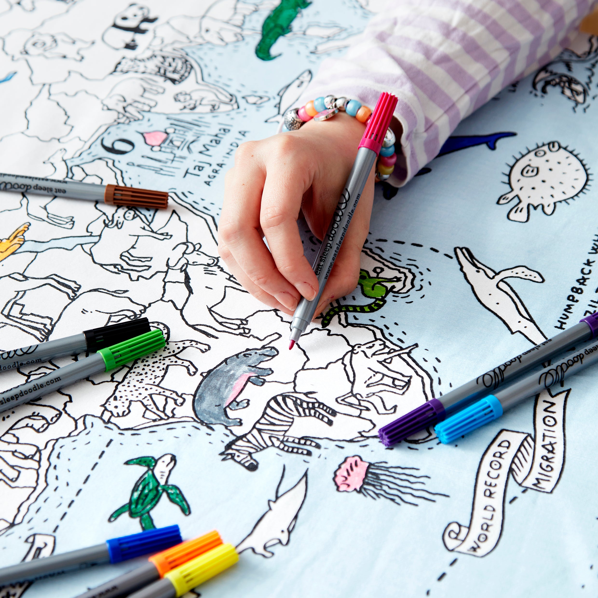 geography lesson plan good gift for siblings to share